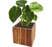 Jardinière HWC-L24, Jardinière Pot de fleur, carré 32x32x32cm Outdoor Acacia bois FSC®-, brun