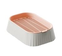 Jardinière hydroponique pour plantes à chat - Plateau d'herbe à chat, kit de culture sans sol double couche, accessoire sain pour animaux de compagnie, pépinière, jardinage