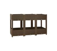 Jardinière lit surélevé plantes fleurs jardin 120 x 40 x 71 cm polypropylène 02_0000909