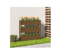 Jardinière Marron miel 112x25x104,5 cm Bois massif de pin