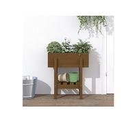 vidaXL Jardinière marron miel 62x30x69 cm bois massif de pin 825236 G