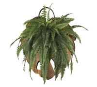 Jardinière murale en bois - Vase vertical en bois en forme de queue de poisson murale, planche pour fougère, cornes de cerf, pour jardin, décoration de maison, exposition salon, Monstera rampante