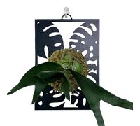 Jardinière murale en métal - Treillis de présentation de pot de fleurs, planche de montage robuste avec design suspendu, organisateur de jardinage décoratif pour espaces intérieurs ou extérieurs, balc