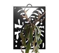 Jardinière Murale - Treillis d'affichage pour Pot de Fleurs en métal, Panneau de Montage pour - pour Rebord de fenêtre de Balcon, Patio, entrée, Salon, espaces extérieurs intérieurs