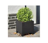 vidaXL Jardinière noir 30x30x30 cm acier, planteur, jardinière de patio, bac à fleurs, jardinière d'extérieur, boîte à 851185 Noir G