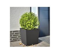 vidaXL Jardinière en acier 50 x 50 x 50 cm Noir