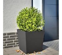 vidaXL Jardinière en acier 50 x 50 x 50 cm Noir