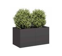 Jardinière noir 80x40x40 cm acier laminé à froid