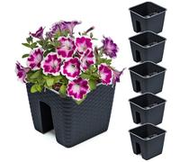 Jardinière - Noname - 5x Potting Box - Anthracite - 27.2 cm - 8.5 L