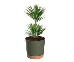 Jardinière - Noname - Rond - Ø 40 Cm - H 38 Cm - Vert Mat Multicolore