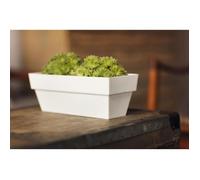Jardinière plastique blanc brillant 10x25 cm