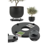 Jardinière Porte Plantes*Ultraplat Designer Sous-Vases À Roulettes* Ø28cm Pour Tous Les Pots Et Bacs À Fleurs *Design Breveté* *Capacité De Charge 120kg* *Made In Germany*
