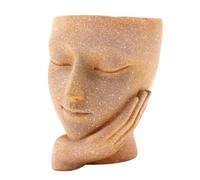 Jardinière pour le visage - Pot de fleurs décoratif, résine mignonne | Porte cactus succulents, à yeux fermés, décoration intérieure et extérieure, boîte de table, charmant présentoir pour
