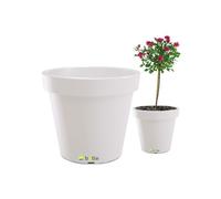 Jardinière ronde à roulettes - BOTLE - Ø 58 cm - Plastique résistant - Blanc - Intérieur/extérieur