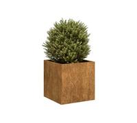 vidaXL Jardinière rouillée en acier inoxydable 40x40x40 cm