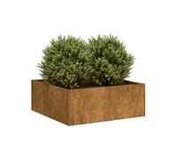 Jardinière rouillé 80x80x30 cm acier inoxydable