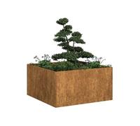 vidaXL Jardinière rouillée 80x80x40 cm Acier inoxydable
