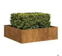 Jardinière rouillé - UU - Pot - 100x100x30 cm acier inoxydable j156