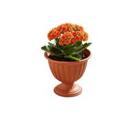 Jardinière Sur Pied - Botle - Ø 16 Cm H 17 Cm - Terre Cuite Naturelle - Plastique - Élégante Multicolore