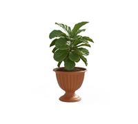 Jardinière Sur Pied - Botle - Ø 42 Cm H 43 Cm - Plastique - Terre Cuite Naturelle - Rond Multicolore