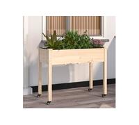 Jardinière sur roues avec doublure 118x59x80 cm bois de sapin 3157826