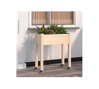 Jardinière sur roues avec doublure 71x37x80 cm bois de sapin 3157823