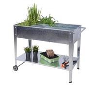 Jardinière surélevée en métal à roulettes - 110 x 52 cm - Jardinière avec 12 compartiments et étagère - Potager, jardin, herbes aromatiques, fleurs