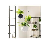 Jardinière Suspendue Bola Color 32 All-In-One Blanc Lechuza Blanc