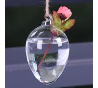 Jardinière suspendue Vase à fleurs Vase mural Aquarium hydroponique Container Home Decor