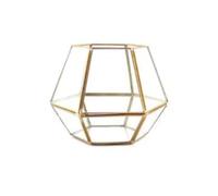 jardinière Terrarium Divers Pots de Fleurs géométriques irréguliers en Verre pour Plantes succulentes, Terrarium, Pot de Table, Bricolage, Maison, Bureau Plantes aériennes(8)