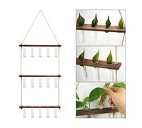 jardinière Terrarium Jardinière Murale Terrarium Propagation des Plantes à 3 Niveaux 15 Tubes à essai Transparents et Support en Bois Mini Test rétro Plantes aériennes