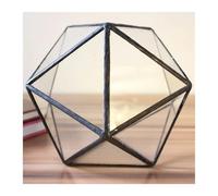 jardinière Terrarium Pot de Fleurs en Mousse de fougère succulente Airplant PlanterBox FairyGarden Polyhedron Glass Geometric Terrarium Bonsai Plantes aériennes(10X10X9.5CM)