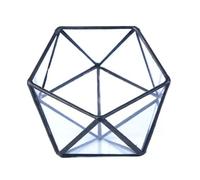 jardinière Terrarium Rangement de bibelots en Verre Moderne Vintage Noir géométrique Transparent Terrarium intérieur jardinière succulente Affichage Plantes aériennes(B)