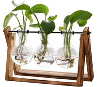 jardinière Terrarium Terrarium pour Plantes avec Support en Bois, jardinière, bulbe, Vase en Verre, Support pivotant en métal, Table Plantes aériennes