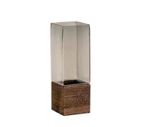 jardinière Terrarium Vase en Verre Nordique avec Base en Bois, Pot de Fleurs pour Fleurs hydroponiques, Fleurs séchées artificielles Plantes aériennes(Style D-M)