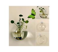 jardinière Terrarium Vase en Verre Transparent à Suspendre au Mur, Terrarium hydroponique, Aquarium, Pot de Fleurs, diamètre 8 cm/10 cm/12 cm Plantes aériennes(8cm)