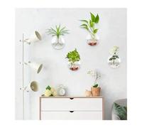 jardinière Terrarium Vase en Verre Transparent à Suspendre au Mur, Terrarium hydroponique, Aquarium, Pot de Fleurs, diamètre 8 cm/10 cm/12 cm Plantes aériennes(10cm)