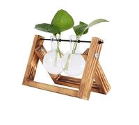 jardinière terrarium Vases pour plantes hydroponiques Vase en verre Pot de fleur de bonsaï vintage Terrarium Plateau de table Cadre en bois Décoration d'intérieur Plantes aériennes(Flame Flame 2 bottl
