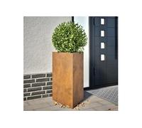 Jardinière triangulaire 50x43x75 cm acier corten 851183