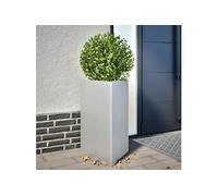 Jardinière Triangulaire Pot de Fleur Bac à Plantes Jardin Extérieur Acier vidaXL