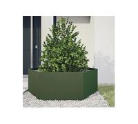 Vidaxl Jardinière Vert Olive Hexagone 138x120x45 Cm Acier