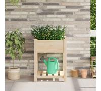 Jardinière Vidaxl Avec Étagère 60x60x76 Cm En Bois Massif De Pin