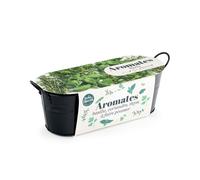 Jardinière zinc noir 30 cm - aromates