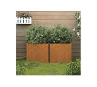 Jardinières 2 pcs 32x30x29 cm acier corten