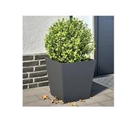 vidaXL Jardinières 2 pièces Anthracite 40x40x40 cm Acier