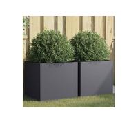 Jardinières 2 pcs anthracite 49x47x46 cm acier