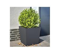 Jardinières 2 pcs anthracite 50x50x50 cm acier851071