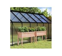 vidaXL Jardinières avec Pieds 2 pcs, Lits Surélevé, Bacs à Fleurs, Pots de Plantes, Boîtes à Fleurs Jardin Patio Terrasse, Bois Massif Douglas