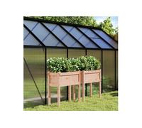 vidaXL Jardinières surélevées 2 pcs avec pieds – Bois massif Douglas – Jardin/Patio/Terrasse