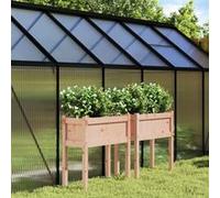 vidaXL Jardinières surélevées 2 pcs avec pieds – Bois massif Douglas – Jardin/Patio/Terrasse
